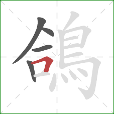 鴿的笔顺第5画：横折