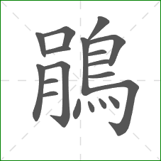 鵑的笔顺 鵑的笔顺