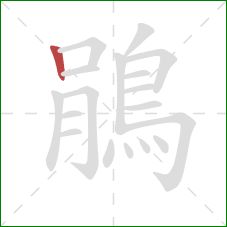 鵑的笔顺第1画:竖 鵑的笔顺第1画:竖