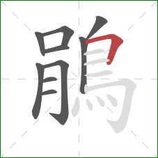鵑的笔顺第10画:横折 鵑的笔顺第10画:横折