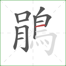 鵑的笔顺第12画:横 鵑的笔顺第12画:横