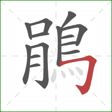 鵑的笔顺第14画:横折钩 鵑的笔顺第14画:横折钩