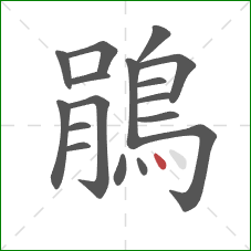 鵑的笔顺第17画:点 鵑的笔顺第17画:点