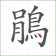 鵑的笔顺第18画:点 鵑的笔顺第18画:点