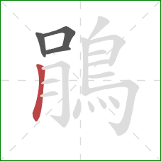 鵑的笔顺第4画:竖 鵑的笔顺第4画:竖