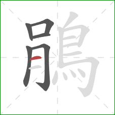 鵑的笔顺第6画:横 鵑的笔顺第6画:横