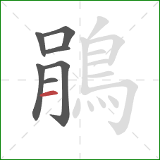 鵑的笔顺第7画:横 鵑的笔顺第7画:横