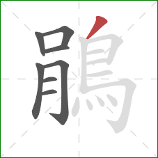 鵑的笔顺第8画:撇 鵑的笔顺第8画:撇