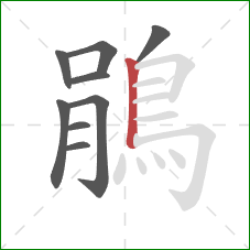 鵑的笔顺第9画:竖 鵑的笔顺第9画:竖