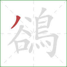 鵒的笔顺第1画：撇