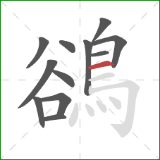 鵒的笔顺第12画：横