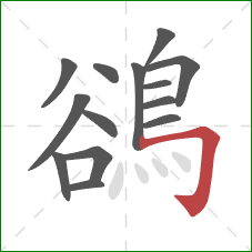 鵒的笔顺第14画：横折钩