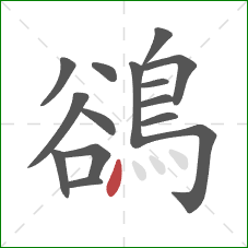 鵒的笔顺第15画：点