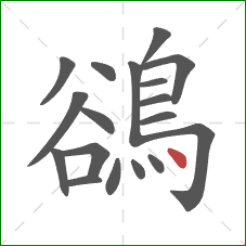 鵒的笔顺第18画：点