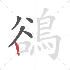鵒的笔顺第5画：竖