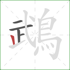 鵡的笔顺第5画:竖 鵡的笔顺第5画:竖