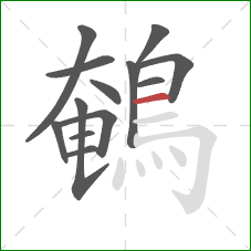 鵪的笔顺第13画:横 鵪的笔顺第13画:横