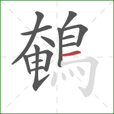 鵪的笔顺第14画:横 鵪的笔顺第14画:横