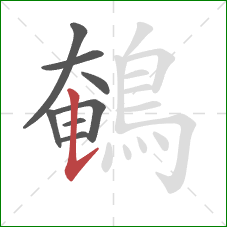 鵪的笔顺第8画:竖提 鵪的笔顺第8画:竖提