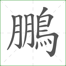 鵬的笔顺
