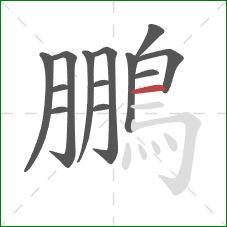 鵬的笔顺第13画：横