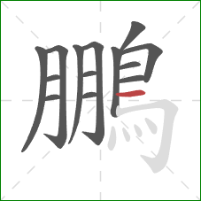 鵬的笔顺第14画：横