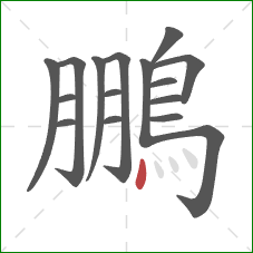 鵬的笔顺第16画：点