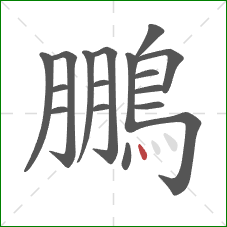 鵬的笔顺第17画：点