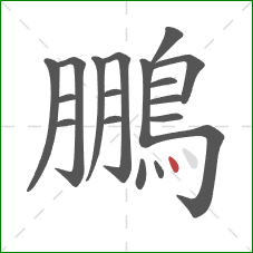 鵬的笔顺第18画：点