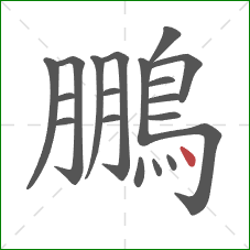 鵬的笔顺第19画：点