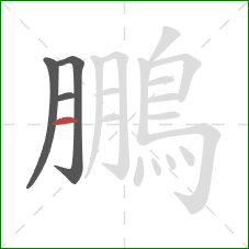 鵬的笔顺第4画：横
