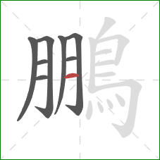 鵬的笔顺第8画：横