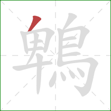 鵯的笔顺第1画：撇