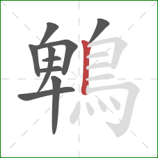 鵯的笔顺第10画：竖