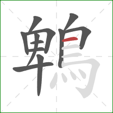 鵯的笔顺第12画：横