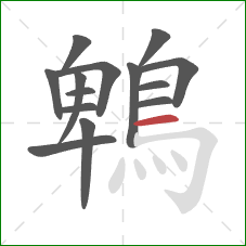 鵯的笔顺第14画：横