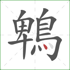 鵯的笔顺第18画：点