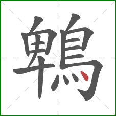 鵯的笔顺第19画：点