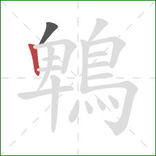 鵯的笔顺第2画：竖