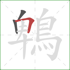 鵯的笔顺第3画：横折