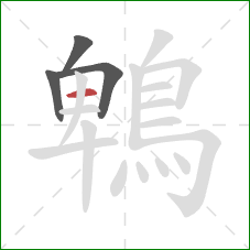 鵯的笔顺第4画：横