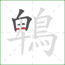 鵯的笔顺第5画：横