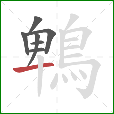 鵯的笔顺第7画：横