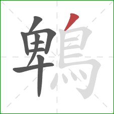 鵯的笔顺第9画：撇