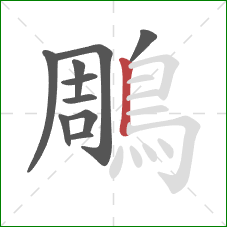 鵰的笔顺第10画:竖 鵰的笔顺第10画:竖