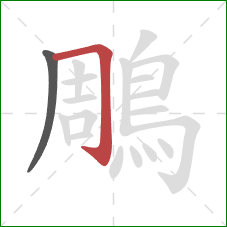 鵰的笔顺第2画:横折钩 鵰的笔顺第2画:横折钩