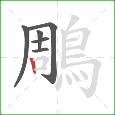 鵰的笔顺第6画:竖 鵰的笔顺第6画:竖