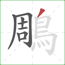 鵰的笔顺第9画:撇 鵰的笔顺第9画:撇