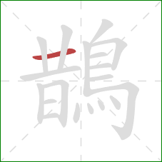 鵲的笔顺第1画:横 鵲的笔顺第1画:横