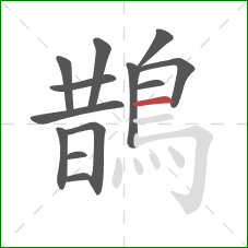 鵲的笔顺第13画:横 鵲的笔顺第13画:横